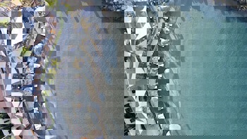 Amathus Beach Hotel Limassol