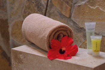 Fiesta Americana Puerto Vallarta All Inclusive & Spa