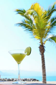 Fiesta Americana Puerto Vallarta All Inclusive & Spa