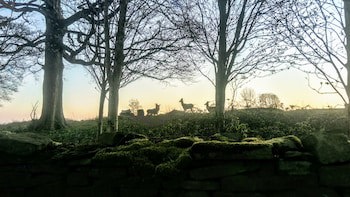 Shrigley Hall Hotel And Spa