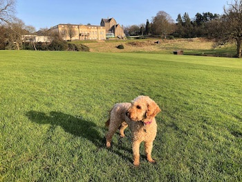 Shrigley Hall Hotel And Spa