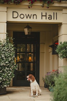 Down Hall Hotel