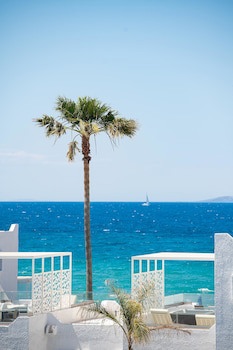 Aeolos Beach Hotel galeri fotoğrafı