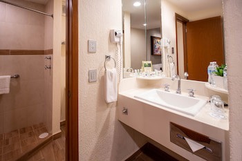 Guadalajara Plaza Expo Business Class