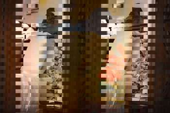 Movenpick Resort Sharm El Sheikh