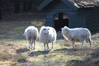 Bilderberg Residence Groot Heideborgh