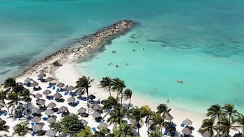 Divi Aruba Phoenix Beach Resort