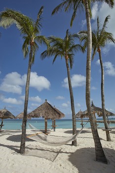 Divi Aruba Phoenix Beach Resort