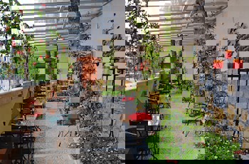 Antea Palace Hotel & Spa