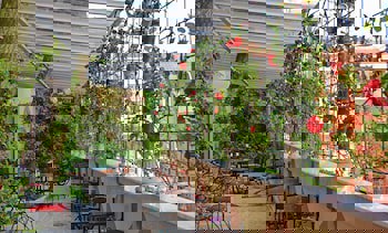 Antea Palace Hotel & Spa