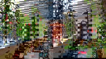 Antea Palace Hotel & Spa