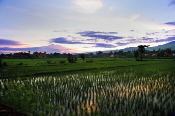Puri Bagus Lovina