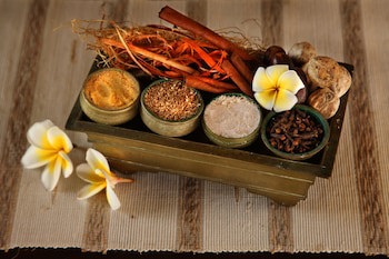 Puri Bagus Lovina