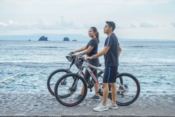 Puri Bagus Lovina