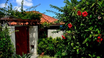 The Busena Terrace