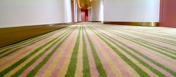 Albani Hotel Rome galeri fotoğrafı