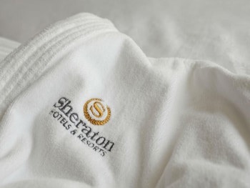 Sheraton Offenbach Hotel galeri fotoğrafı