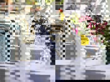 Rixos Downtown Antalya