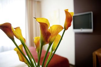 Das Tigra Hotel