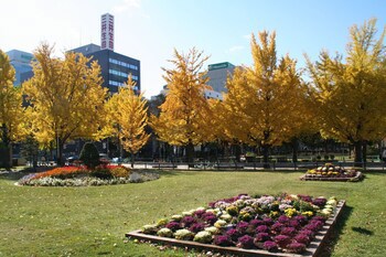 Ana Crowne Plaza Sapporo, An Ihg Hotel