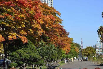 Ana Crowne Plaza Sapporo, An Ihg Hotel