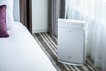 Ana Crowne Plaza Sapporo, An Ihg Hotel