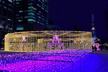 Ana Crowne Plaza Sapporo, An Ihg Hotel