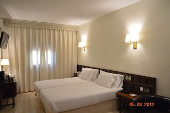 Hotel Sercotel Alfonso Vi