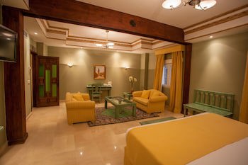 Hotel Sercotel Alfonso Vi