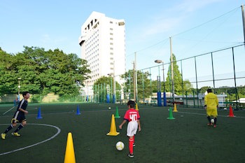 Ana Crowne Plaza Narita, An Ihg Hotel