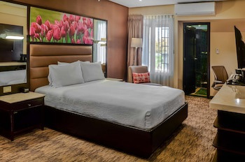 Hilton Garden Inn Guatemala City