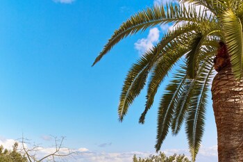 Castillo Hotel Son Vida, A Luxury Collection Hotel, Mallorca - Adults Only