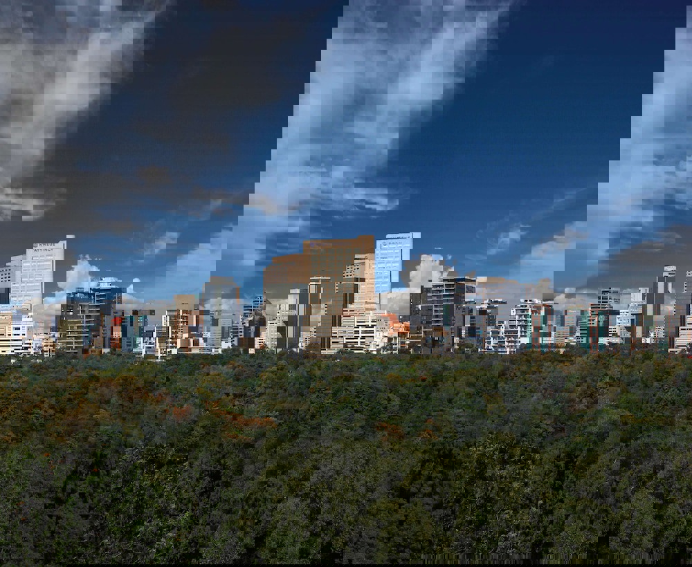 Hyatt Regency Mexico City