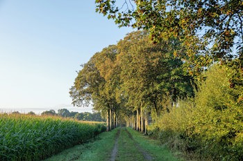 Bilderberg Chateau Holtmuhle