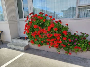 Comfort Inn Tayesta