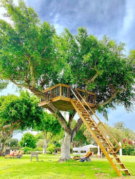 Dan  Caesarea Resort