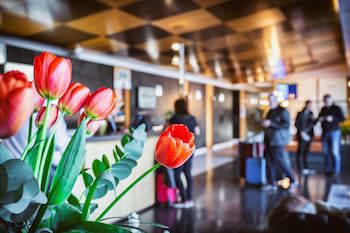 Best Western Plus Hotel Alfa Aeropuerto