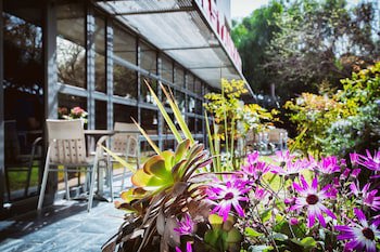 Best Western Plus Hotel Alfa Aeropuerto