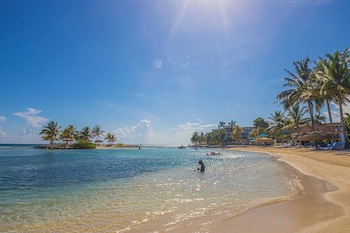 Catalonia Montego Bay - All Inclusive