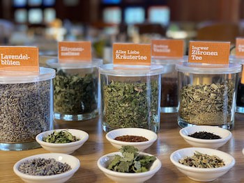 Gaia Hotel Basel - The Sustainable Hotel