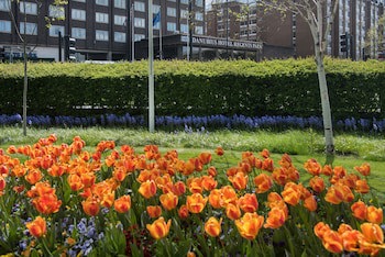 Danubius Hotel Regents Park