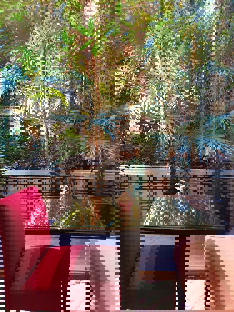 Hotel Garden Elysees