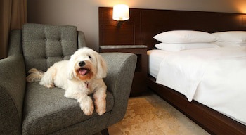 Hyatt Regency Villahermosa