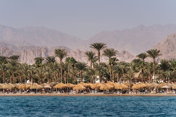 JAZ Sharm Dreams galeri fotoğrafı