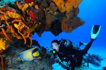 Cozumel Palace All Inclusive
