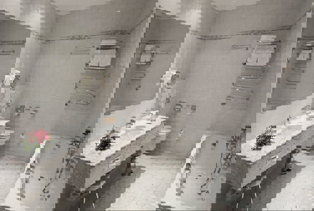 Ambassador Zlata husa