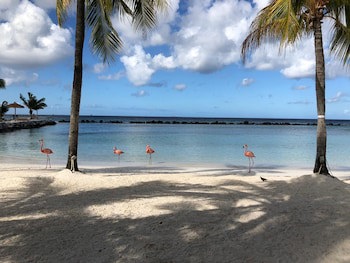 Renaissance Wind Creek Aruba Resort