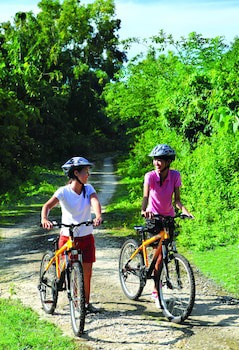 Banyan Tree Bintan