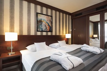 Maritim Hotel Konigswinter galeri fotoğrafı