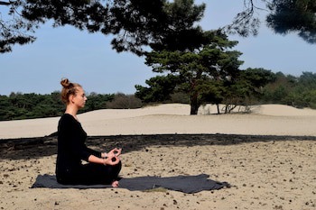 Doubletree By Hilton Royal Parc Soestduinen